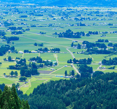 自然の風景 イメージ